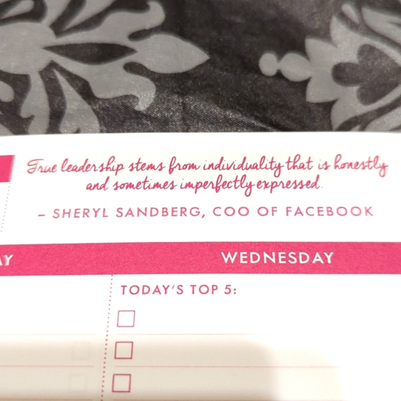 CONQUER YOUR YEAR - THE ULTIMATE PLANNER - Picture 12 of 16